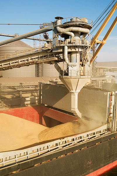 Commercial management — chartering, freight market, voyage operations
